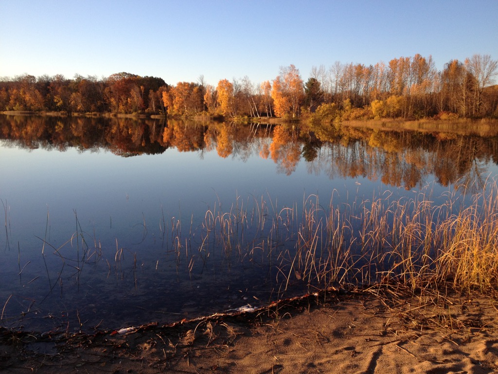 The lake in autumn