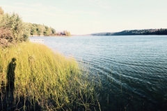 The lake at summer's end