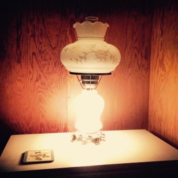 Bluebird lamp light